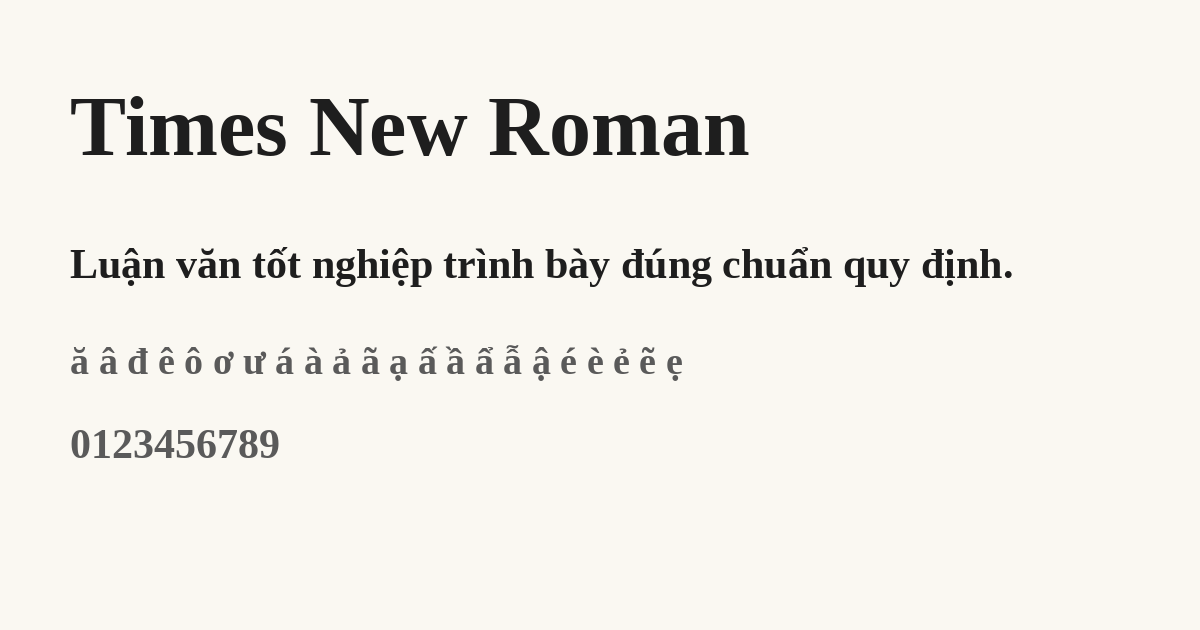 Font Times New Roman kiểu Bold, kiểu đậm